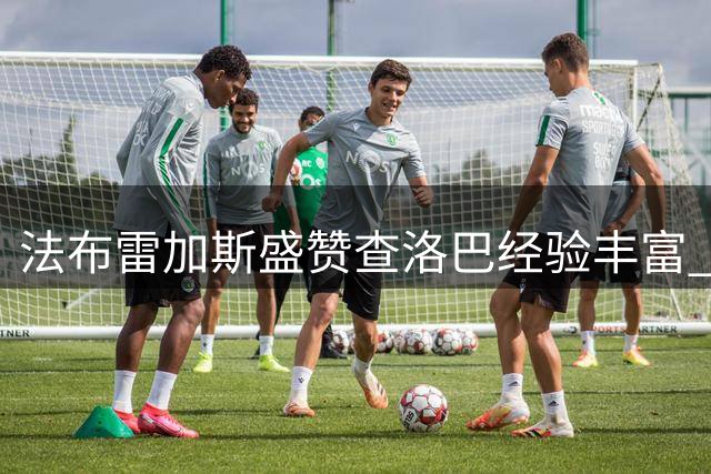 法布雷加斯盛赞查洛巴经验丰富 称新秀利贝拉里值得期待